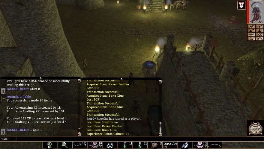No bone arrows.jpg