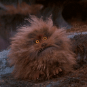 Fizzgig